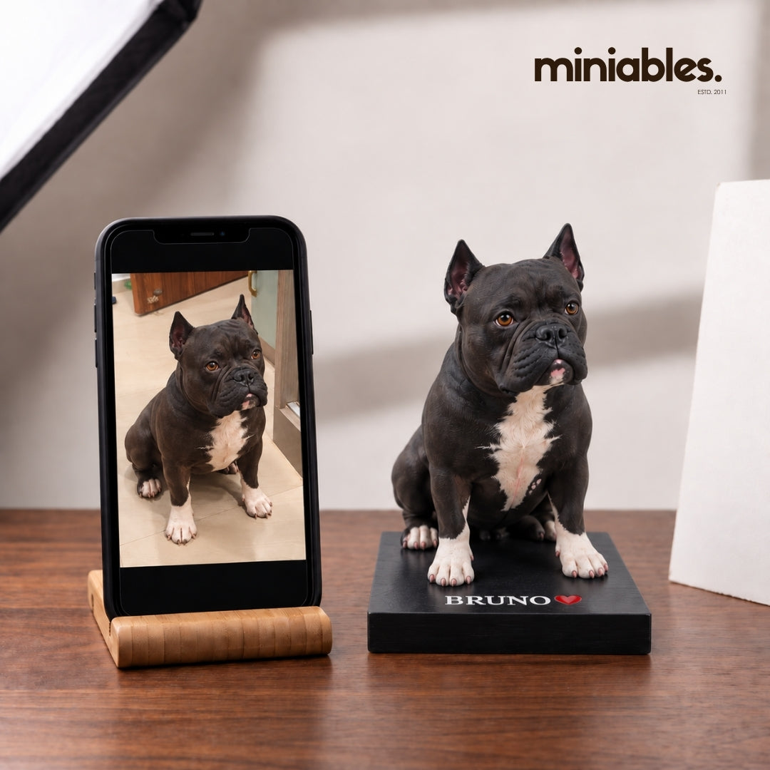 Personalised Pet Miniature