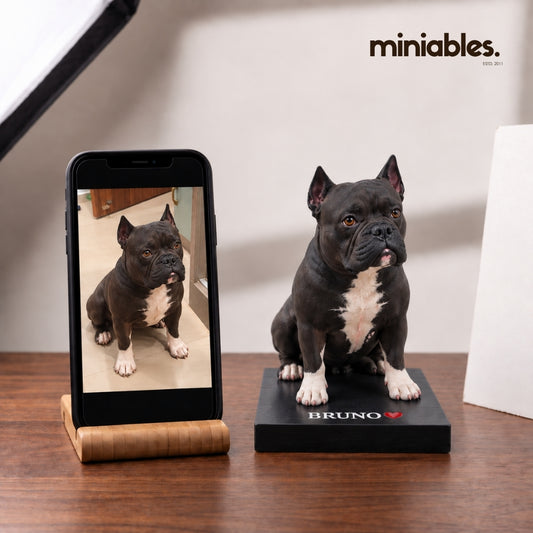 Personalised Pet Miniature