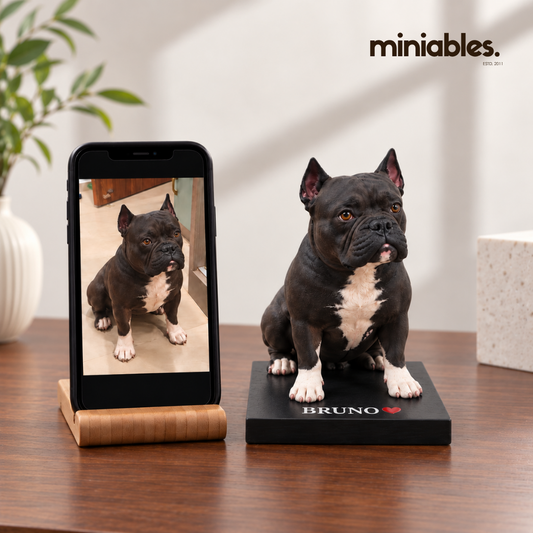 Personalised Pet Miniature